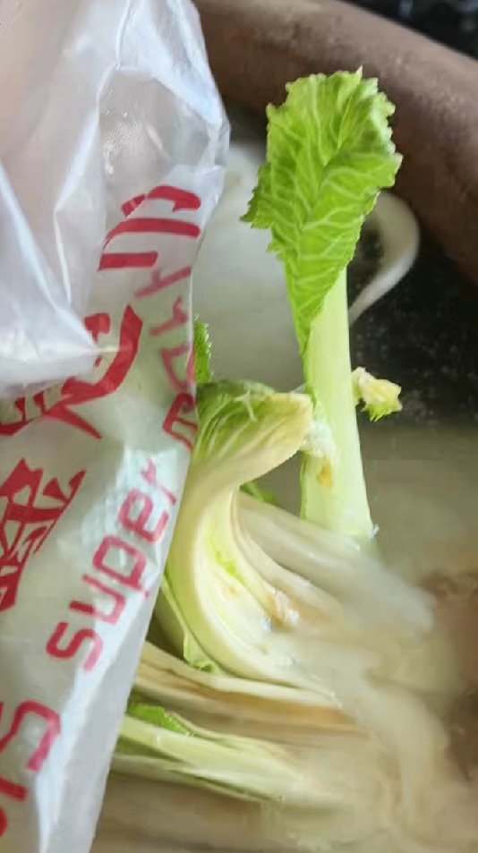 鸿泰利创 内蒙古居民腌制酸菜长出嫩芽，网友震惊求购，当事人：若能给农业科研提供帮助，不收费